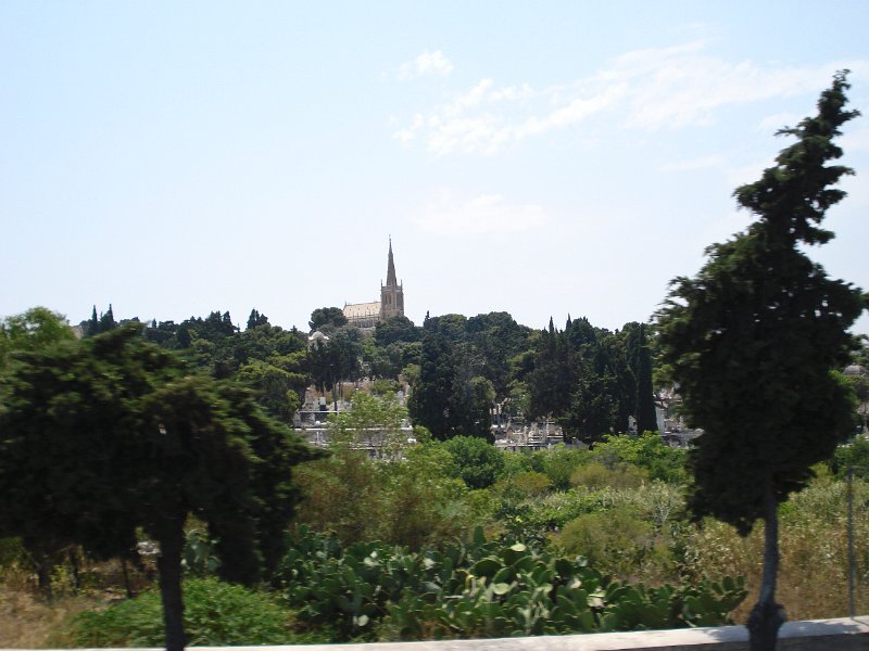 75 Es gibt auch gruen auf Malta.jpg